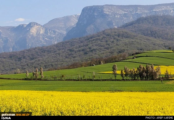 طبیعت زیبای بهاری استان گلستان 2