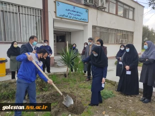 مراسم روز درختکاری در آموزشکده فنی و حرفه ای دختران کوثر گنبد کاووس (گلستان ) 2