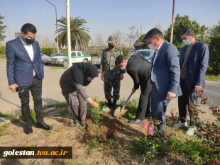 برگزاری مراسم روز درختکاری در آموزشکده فنی و حرفه ای دختران کوثر گنبد کاووس( گلستان)  2