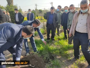 برگزاری مراسم روز درختکاری در آموزشکده فنی و حرفه ای دختران کوثر گنبد کاووس( گلستان)  2